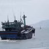 Quang Ninh entend se concentrer sur le renforcement de la gestion de sa flotte, l'intensification des inspections et la promotion d'une restructuration visant à réduire l'exploitation et à développer une aquaculture durable. Photo: VNA