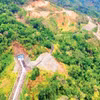 Développement forestier dans la commune de Phan Son, province de Lam Dong. Photo : nhandan.vn