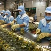 Les petites entreprises vietnamiennes ont connu une année fructueuse en 2024, enregistrant un taux de croissance de 82 %, contre 77 % en 2023. Photo: VNA