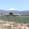 Zone centrale du projet de construction de la centrale nucléaire de Ninh Thuận 2 située dans le hameau de Thai An, commune de Vinh Hai. Photo: VNA 