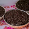 Portée par des prix toujours élevés et une forte demande à l'export, l'industrie du café vietnamienne entre dans une véritable phase "dorée". Photo: VNA