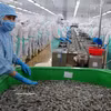 Transformation de produits aquatiques dans la province de Ca Mau. Photo: VNA