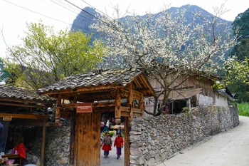 Un modèle de tourisme communautaire durable à Tuyen Quang