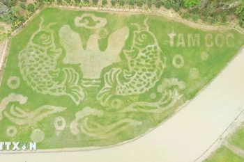 Ninh Binh : Une rizière transformée en œuvre d'art pour la Semaine du tourisme