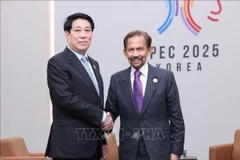 Le président vietnamien Luong Cuong (gauche) s’est entretenu, dans l’après-midi du 31 octobre, avec le Sultan de Brunei, Haji Hassanal Bolkiah. Photo: VNA