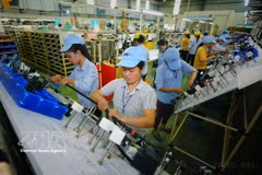 Fabrication de composants électriques et électroniques à l'usine de la Sarl Minda Vietnam Auto Components (entreprise à capitaux indiens) dans la province de Phu Tho. Photo : VNA