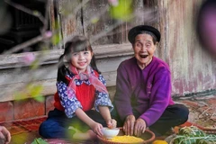 Prendre soin des personnes âgées au Vietnam : la nécessité d’une stratégie précoce et durable