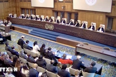 Des dirigeants de l'ONU assistent à la réunion pour annoncer l'avis consultatif de la CIJ. Photo : VNA 