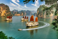 La baie d'Ha Long. Photo: Internet