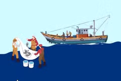 Mesures urgentes pour surmonter les lacunes et les limitations actuelles en matière de lutte contre la pêche INN