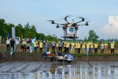 La Journée nationale de la science et de la technologie honore l’intelligence vietnamienne