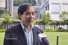 Le professeur Vu Minh Khuong, de l’École de politique publique Lee Kuan Yew. Photo: VNA