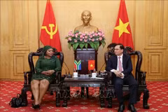 Séance de travail entre Nomvula Mokonyane, première secrétaire générale adjointe du Congrès national africain (CNA) d'Afrique du Sud, et Duong Trung Y, vice-directeur de l'Académie nationale de politique Ho Chi Minh. Photo: VNA