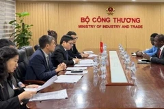 La réunion entre le vice-ministre vietnamien de l’Industrie et du Commerce, Truong Thanh Hoai, et Daouda Bitié, ambassadeur du Burkina Faso en Chine, également accrédité au Vietnam. Photo: VNA