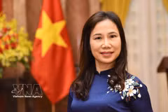L’ambassadrice du Vietnam au Sri Lanka, également accréditée aux Maldives, Trinh Thi Tam. Photo: VNA