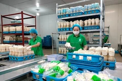 Hanoï mise sur les technologies numériques pour moderniser son agriculture. Photo: hanoimoi.vn