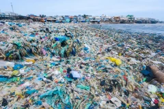 Chaque jour, Hanoï rejette plus de 1,4 million de tonnes de déchets, dont 60 % proviennent de sacs et produits plastiques à usage unique. Photo: hanoimoi.vn
