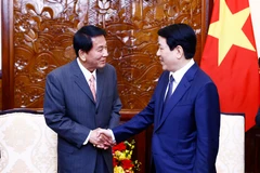 Le président de la République, Luong Cuong, (droite), et l'ancien ambassadeur spécial Vietnam-Japon, Sugi Ryotaro. Photo: VNA