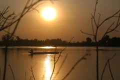 Can Tho : après des années de disette, la crue généreuse redonne le sourire aux pêcheurs 