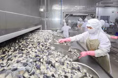 Transformation de produits agricoles à la Société Cofidec, à Ho Chi Minh-Ville. Photo : VNA