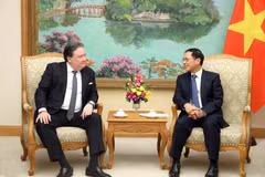 Le 23 octobre, au siège du gouvernement à Hanoï, le vice-Premier ministre Bui Thanh Son (droite) a rencontré Marc E. Knapper, ambassadeur des États-Unis au Vietnam. Photo: VNA