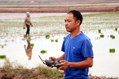 Agriculture: Luong Van Truong, une illustration des orientations de la Résolution 57-NQ/TW