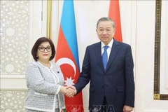 Le secrétaire général du Parti communiste du Vietnam (PCV), Tô Lâm, et la présidente de l'Assemblée nationale d'Azerbaïdjan, Sahiba Gafarova. Photo: VNA