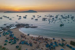 La quiétude rustique du marché aux poissons de Phuoc Dông à Dak Lak