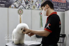 Le Vietnam s’impose comme une destination stratégique pour les exportateurs sud-coréens d’aliments et d’accessoires pour animaux de compagnie. Photo: VNA