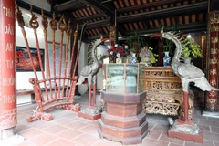 Le Temple ancestral des rois Hùng : Un pèlerinage au cœur de l’histoire vietnamienne