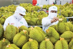 Photo: vneconomy.vn