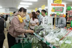 Bach Hoa Xanh apporte son modèle de supermarché au Nord. Photo: VNA