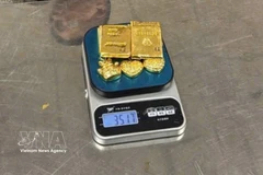 Quatre passagers arrivant de Taïwan (Chine) ont été découverts à l’aéroport international de Noi Bai en train de dissimuler au total 12,3 kg de métal de couleur jaune, soupçonné d’être de l’or. Photo: VNA