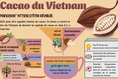 Cacao du Vietnam - "princesse" attend d'être réveillé