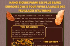Hanoï figure parmi les plus beaux endroits d'Asie pour vivre la magie des feuillages d'automne