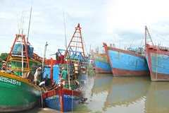 Dong Thap renforce la gestion de sa flotte de pêche pour lutter contre la pêche INN. Photo: Congly.vn