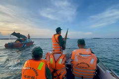 Da Nang met en œuvre les recommandations de la Commission européenne dans la lutte contre la pêche INN. Photo: VNA