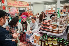 Les visiteurs à la Foire du Printemps 2026. Photo: VNA
