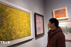 Un visiteur à l'exposition "Couleurs de l’amitié". Photo: VNA
