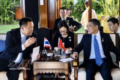 Lors de sa participation au 48e sommet de l'ASEAN à Cebu, aux Philippines, le 8 mai 2026 après-midi, le Premier ministre Le Minh Hung a rencontré le Premier ministre thaïlandais Anutin Charnvirakul. Photo: VNA
