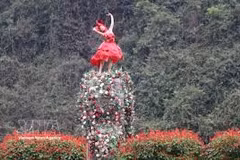 Ninh Binh séduit les visiteurs avec ses saisons florales patrimoniales