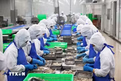 Les exportations de produits aquatiques établissent un nouveau record. Photo: VNA
