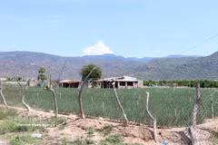 Zone centrale du projet de construction de la centrale nucléaire de Ninh Thuận 2 située dans le hameau de Thai An, commune de Vinh Hai. Photo: VNA 