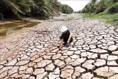 Efforts déployés pour faire face aux changements climatiques. Photo: VNA