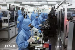 Ligne de production de modules de caméra et de composants électroniques destinés à l'exportation dans l'usine de la compagnie sud-coréenne MCNEX VINA dans la zone industrielle de Phuc Son, province de Ninh Binh. Photo : VNA