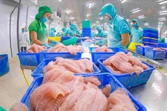  Production de pagasius. Photo: VNA