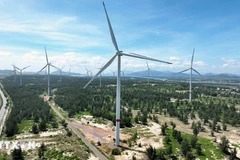 Gia Lai approuve la centrale éolienne de Hon Trâu. Photo: VNA