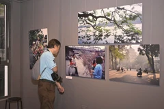 Un visiteur admire les photos de Nicolas Cornet lors de l'exposition « Hanoi Oi », un événement organisé à l'occasion du lancement du livre du même nom. Photo : VietnamPlus