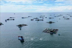 Ces dernières années, l'économie maritime du Vietnam a connu un développement rapide et durable, qui manisfeste dans de nombreux aspects et domaines. Photo: VNA