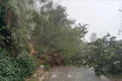 Le gouvernement vietnamien mobilisé face aux risques de catastrophes naturelles dans le Nord. Photo: VNA